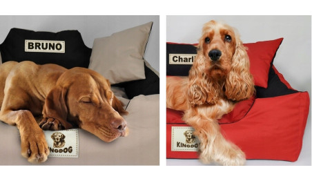 LEGOWISKO DLA PSA POSŁANIE ROZBIERALNE 115x95 IMIĘ