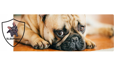 LEGOWISKO DLA PSA POSŁANIE ROZBIERALNE 115x95 IMIĘ