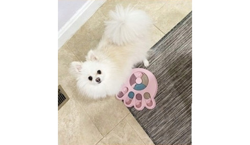 EDUKACYJNA GRA dla PSA ZABAWKA INTERAKCYJNA MISKA