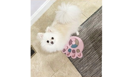 EDUKACYJNA GRA dla PSA ZABAWKA INTERAKCYJNA MISKA