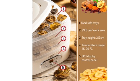 Dehydrator 550W Suszarka do Grzybów Ziół Owoców Żywności LCD 5 Tac Zestaw