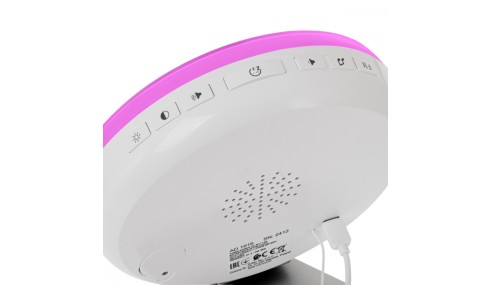 Radiobudzik świetlny LED SYMULACJA ŚWITU alarm dźwięki natury RADIO Lampka