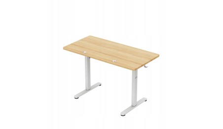 Biurko Elektryczne 120cm Regulowane Pamięć stolik biurowy Leader 6.9 Dąb