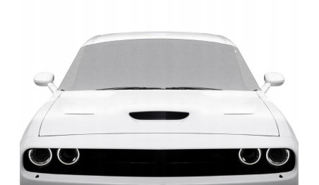 MATA PRZECIWSZRONOWA NA SZYBĘ OSŁONA NA ZIMĘ