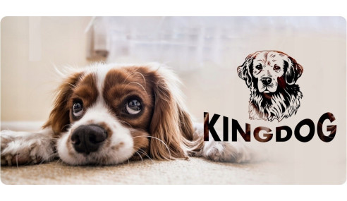 LEGOWISKO POSŁANIE DLA PSA MIŁY POLAR 115X95 IMIĘ